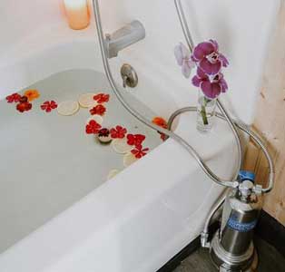 anespa dx enagic kangen water filter air mandi