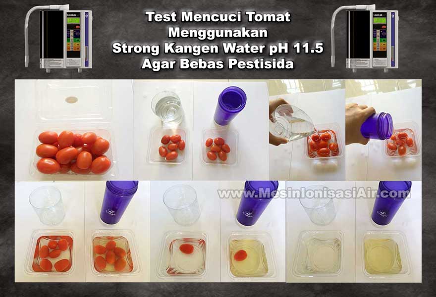 tomat cherry kangen water 0