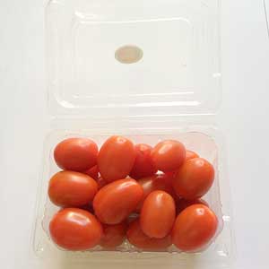 tomat cherry kangen water 1