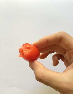tomat cherry kangen water 8