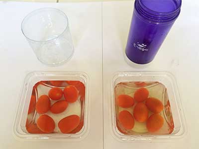 tomat cherry kangen water 6
