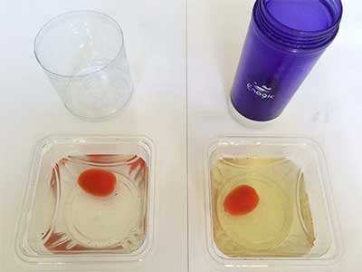 tomat cherry kangen water 7